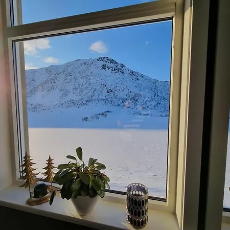 Apartment T-r Huset I Hellosan